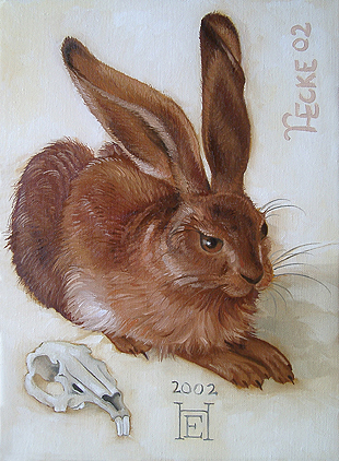 junger feldhase albrecht duerer hase rabbit young hare aquarell art painting hardy ecke 
