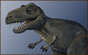 Tyrannosaurus Rex