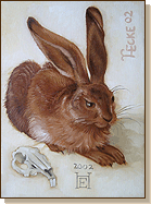 Albrecht der Hase - Albrecht Duerer, Feldhase, Aquarell